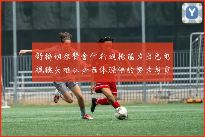 舒梅切尔赞舍什科逼抢能力出色电视镜头难以全面体现他的努力与贡献
